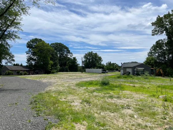 a view of a yard with a tree