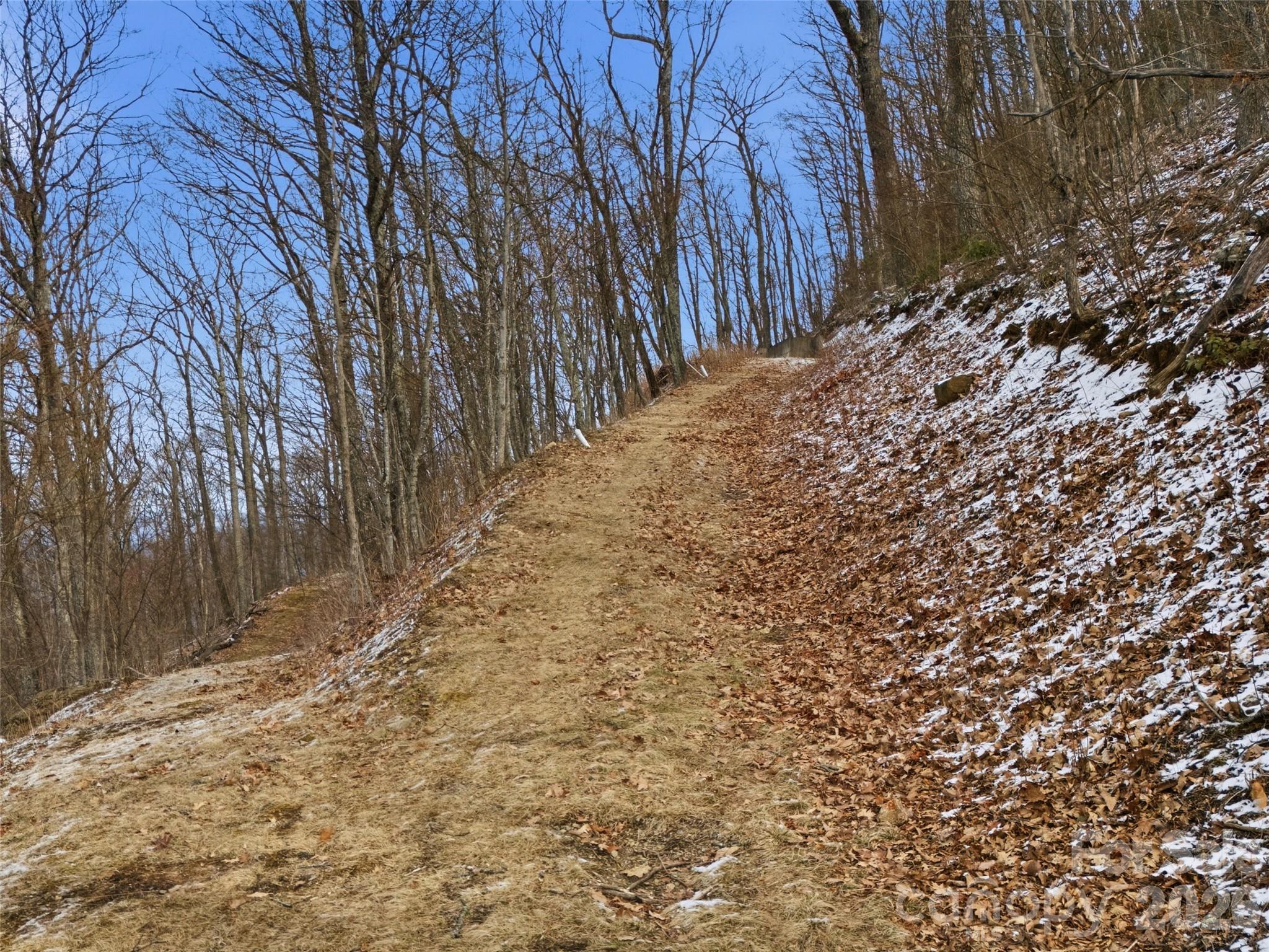 0 Awohali Trail, Unit B6 Maggie Valley, NC 28751 - Photo 2 of 23