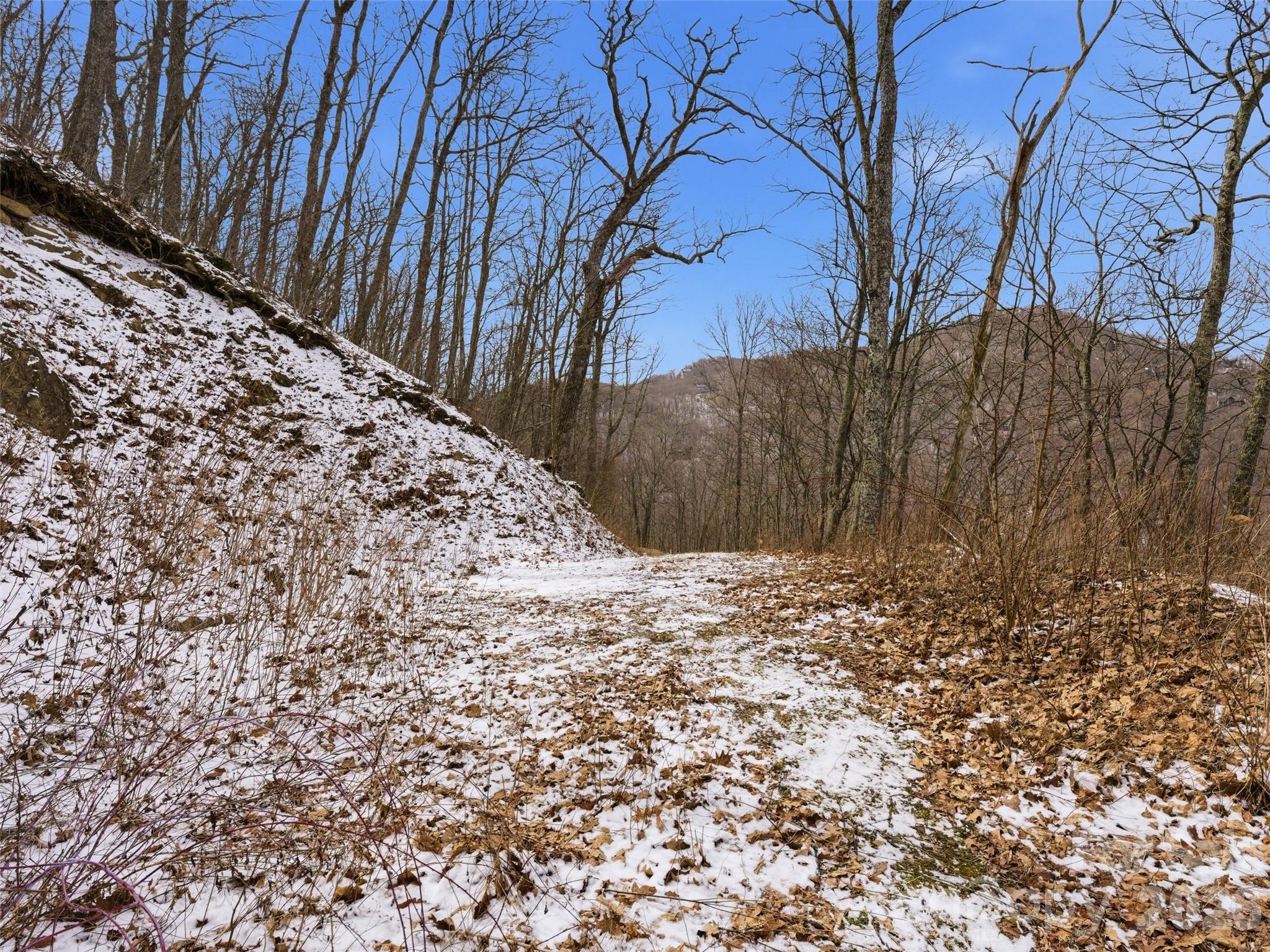 0 Awohali Trail, Unit B6 Maggie Valley, NC 28751 - Photo 10 of 23