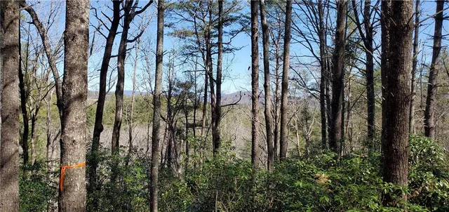 $28,500 | 116 Sweetshrub Way, Sunset, SC 29685