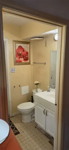a bathroom with a toilet a sink and mirror
