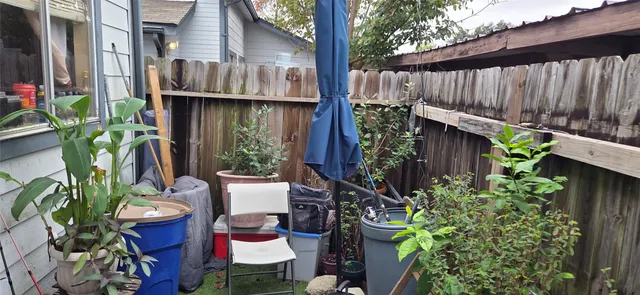 a view of a backyard with plants