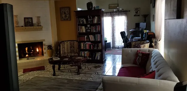 a living room with furniture and a fireplace