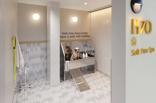 a view of a terrace with lawn chairs