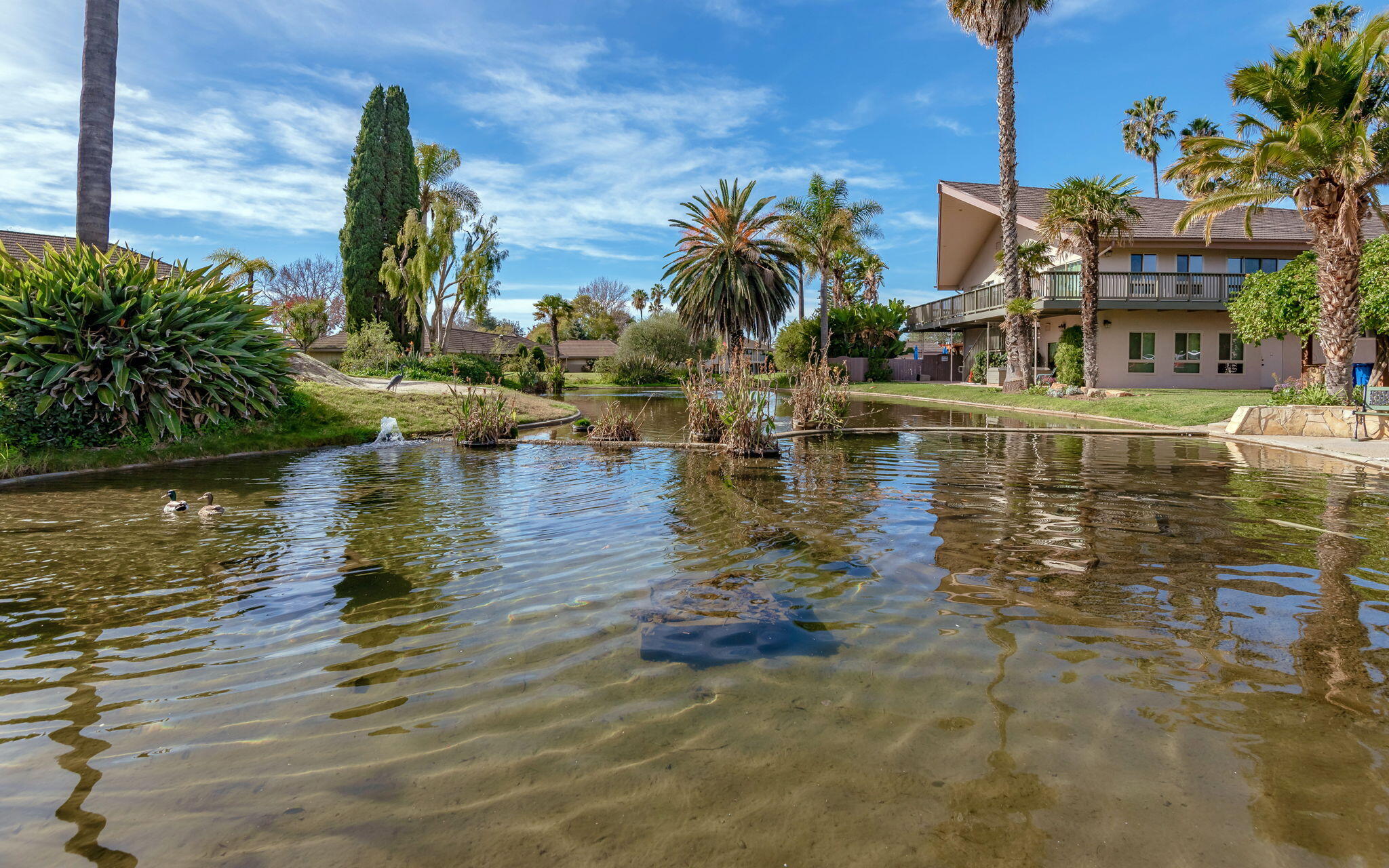 5950 Encina Road, Unit 2 Goleta, CA 93117 - Photo 37 of 37 37 - Community Pond