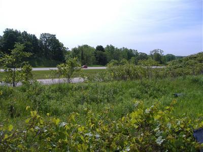 Edgewood Road Berrien Springs, MI 49103 - Photo 1 of 3 Primary Photo