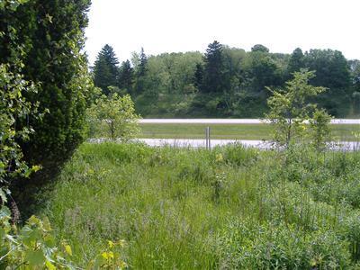 Edgewood Road Berrien Springs, MI 49103 - Photo 3 of 3 Additional Photo