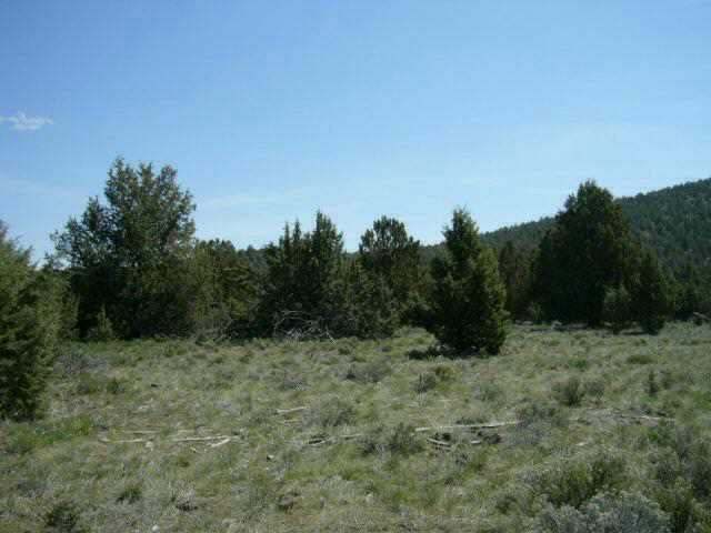 0 Off Sheep Mtn Road Macdoel, CA 96058 - Photo 3 of 3 Gallery Image 3