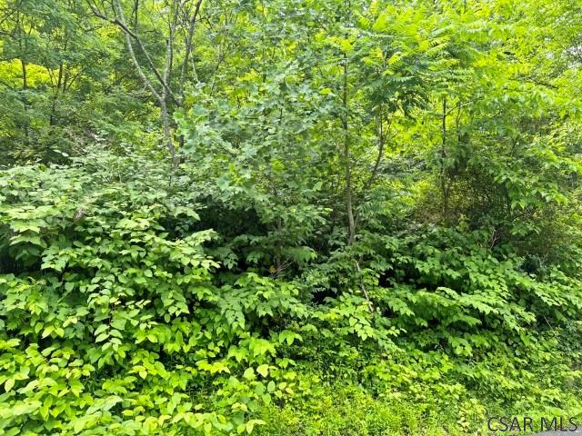 Moonshine Hollow Road Johnstown, PA 15905 - Photo 5 of 6