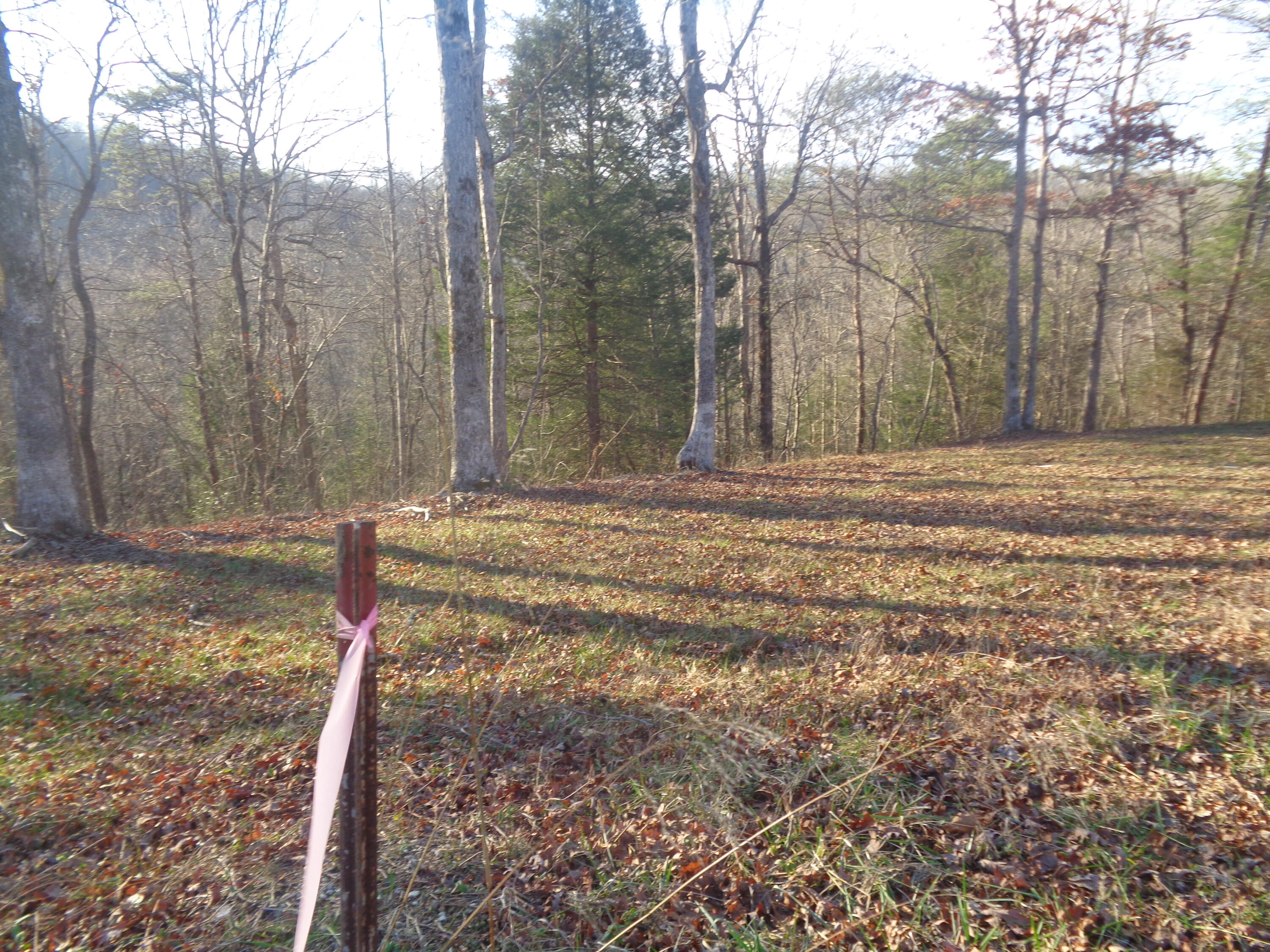Lot 6 Fount Hubbard Road London, KY 40741 - Photo 6 of 24 DSC07445