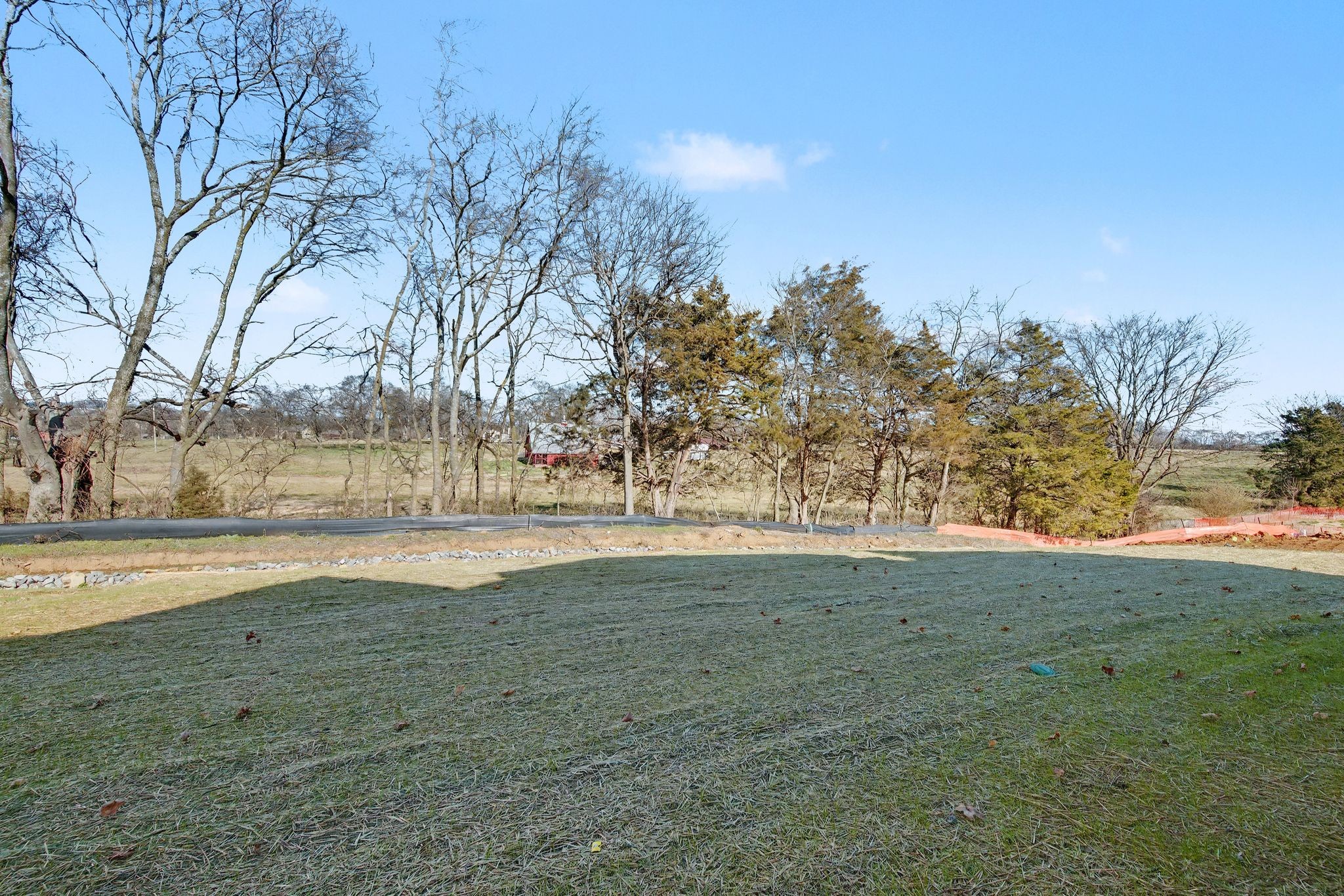 225 Bellsford Road Gallatin, TN 37066 - Photo 55 of 55 a view of yard with trees