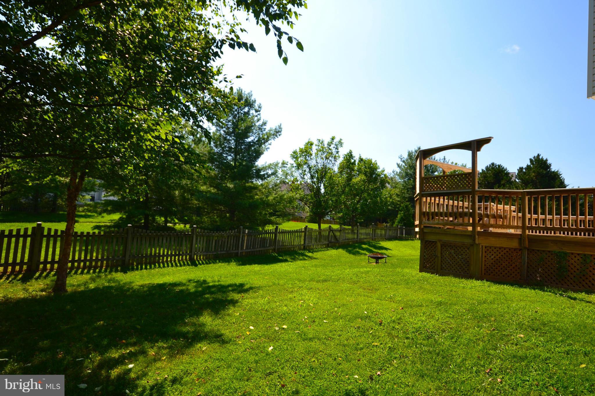 20749 Rainsboro Drive Ashburn, VA 20147 - Photo 16 of 19 Big Back Yard