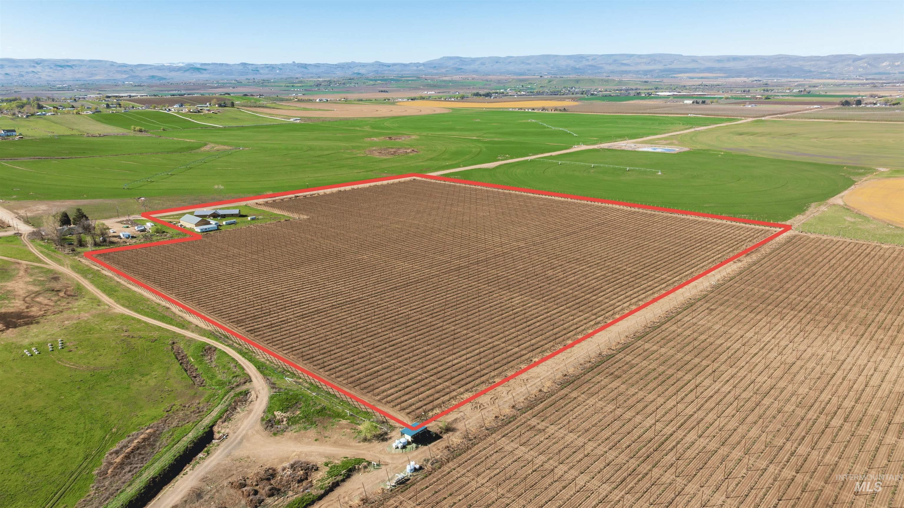 28074 Red Top Road Wilder, ID 83676 - Photo 15 of 27