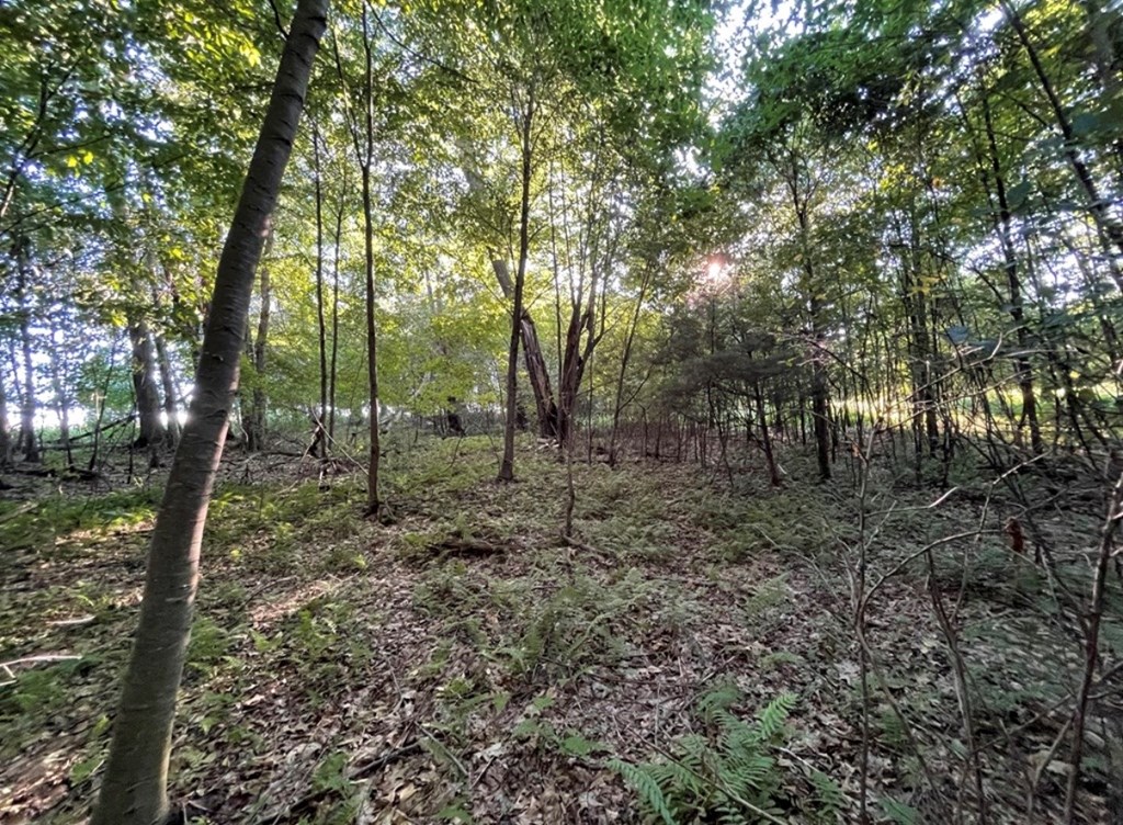 1226 Mercer Road Franklin, PA 16323 - Photo 23 of 68