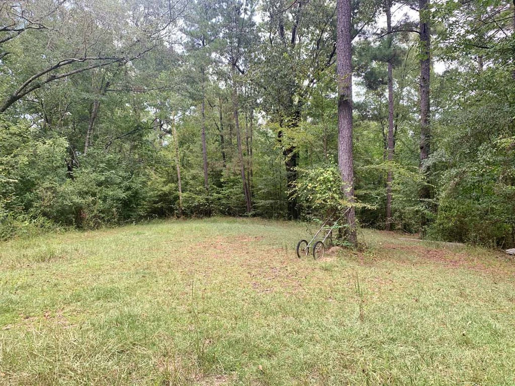 0 Garden City Road Roxie, MS 39661 - Photo 4 of 45 Photo 4