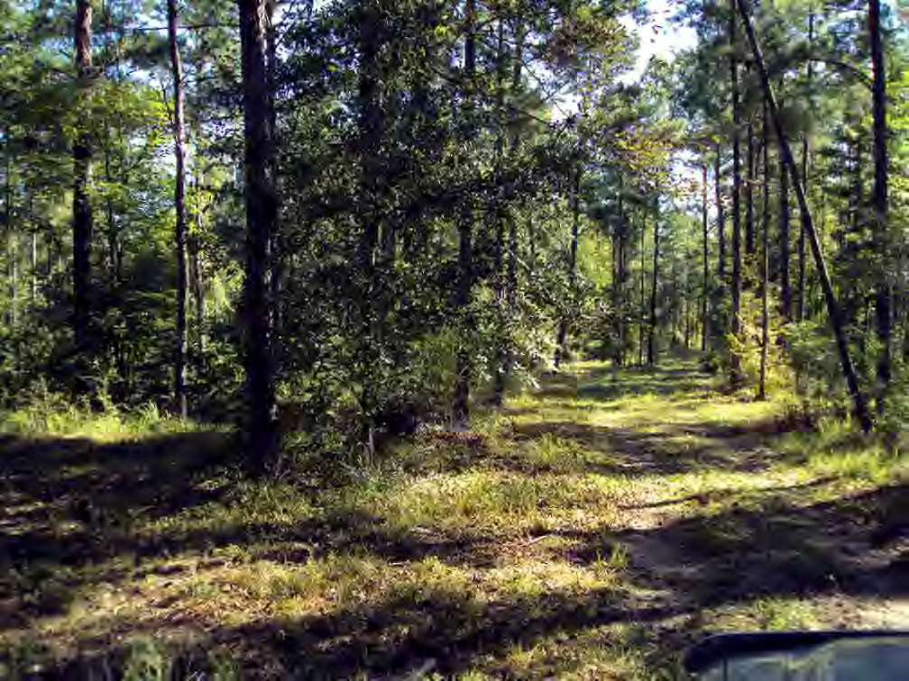 West Topisaw Rd Summit South Summit, MS 39666 - Photo 1 of 1 Main View