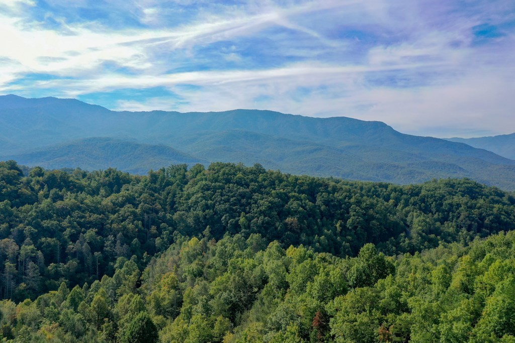 0 Old Field Ridge Way Gatlinburg, TN 37738 - Photo 9 of 14 Gallery Image 9