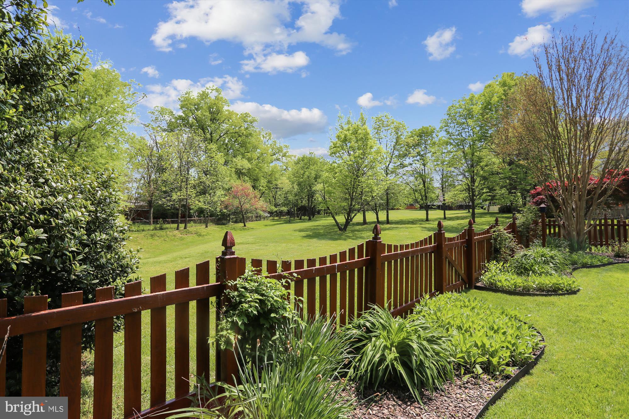 6591 Forsythia Street Springfield, VA 22150 - Photo 34 of 92 6591 Forsythia St Garden