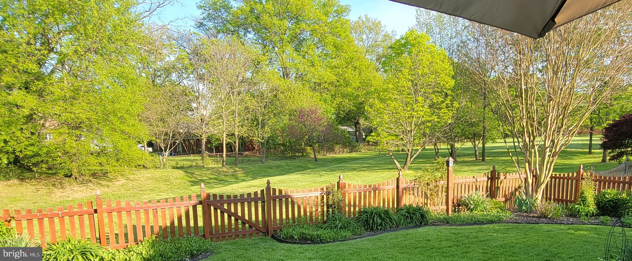 6591 Forsythia Street Springfield, VA 22150 - Photo 36 of 92 6591 Forsythia St Garden