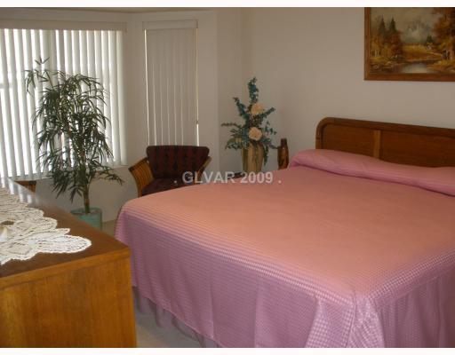 8720 Pennystone Avenue Las Vegas, NV 89134 - Photo 11 of 15 Master Bedroom. Large Master Bedroom with Solar Screen window overlooking the rear.