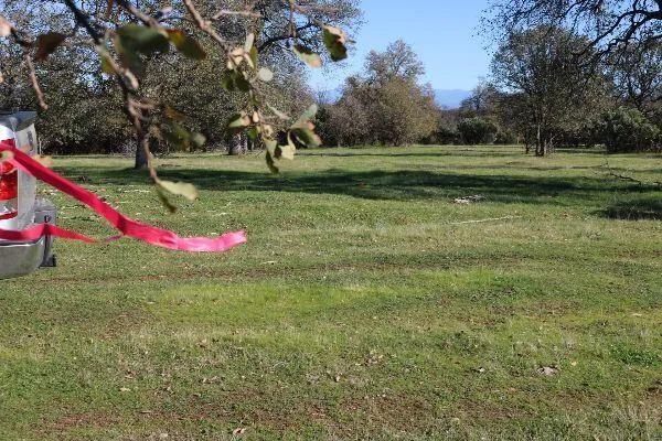 $299,500 | 120-acres 120-acres Golden Oak/lawndale, Anderson, CA 96007