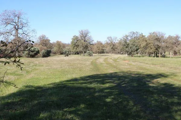 $299,500 | 120-acres 120-acres Golden Oak/lawndale, Anderson, CA 96007