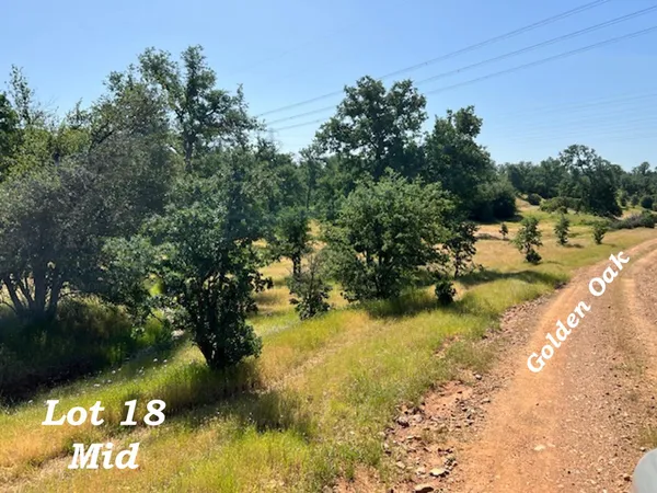 $299,500 | 120-acres 120-acres Golden Oak/lawndale, Anderson, CA 96007