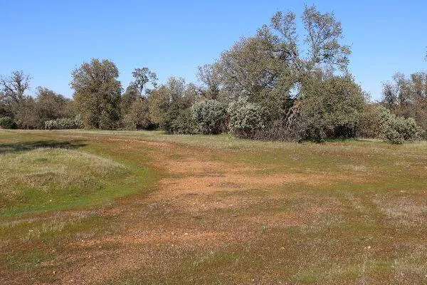 $299,500 | 120-acres 120-acres Golden Oak/lawndale, Anderson, CA 96007