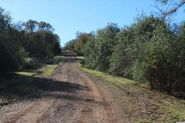 $299,500 | 120-acres 120-acres Golden Oak/lawndale, Anderson, CA 96007