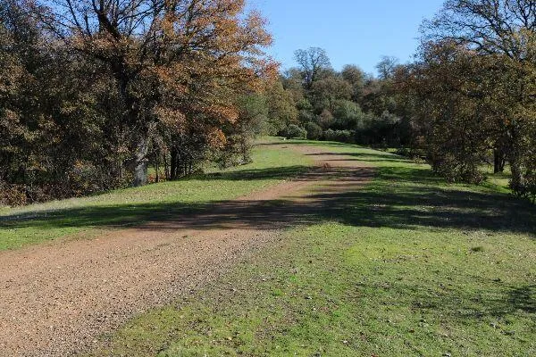 $299,500 | 120-acres 120-acres Golden Oak/lawndale, Anderson, CA 96007