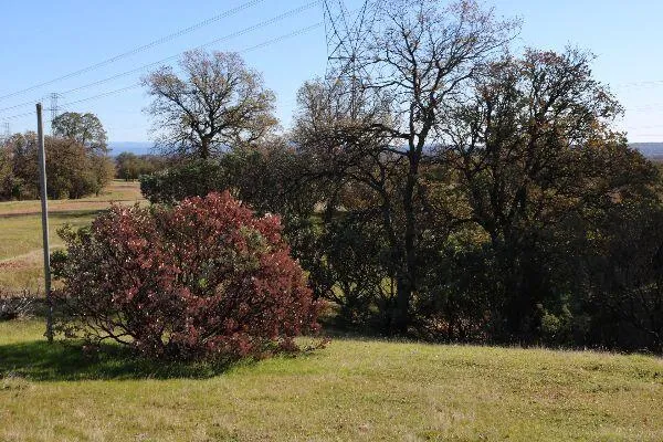 $299,500 | 120-acres 120-acres Golden Oak/lawndale, Anderson, CA 96007