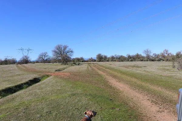 $299,500 | 120-acres 120-acres Golden Oak/lawndale, Anderson, CA 96007