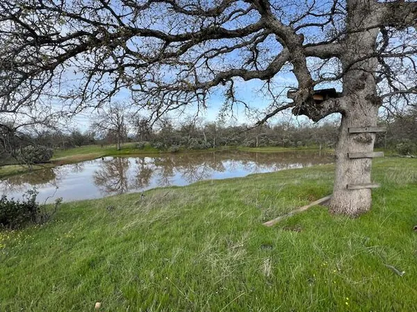 $299,500 | 120-acres 120-acres Golden Oak/lawndale, Anderson, CA 96007
