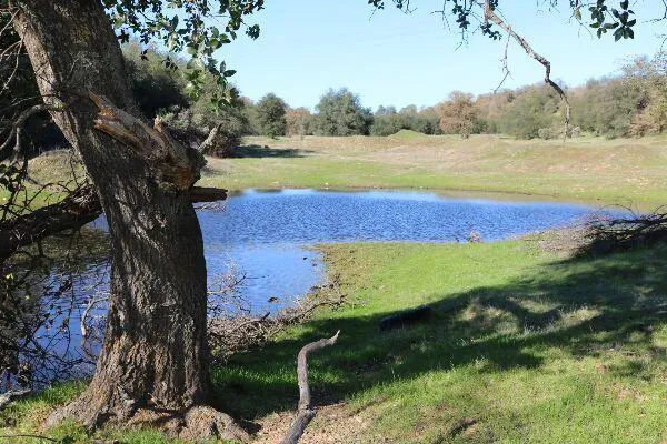 $299,500 | 120-acres 120-acres Golden Oak/lawndale, Anderson, CA 96007