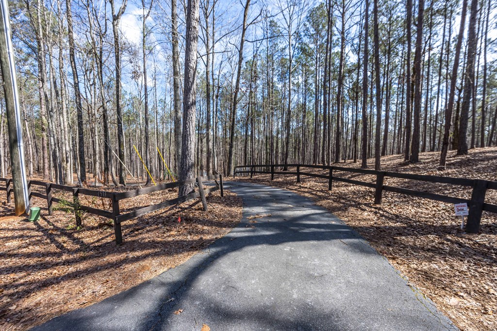 1509 Martin Road Hamilton, GA 31811 - Photo 35 of 39