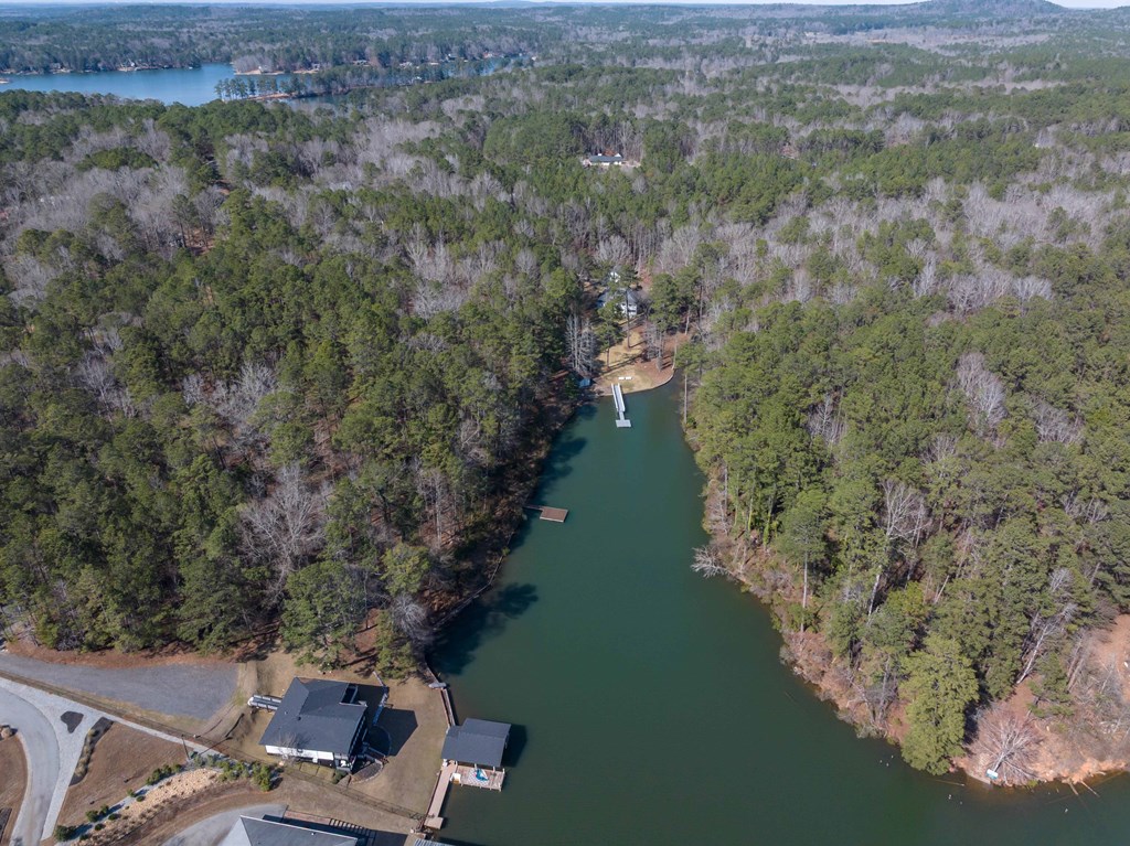 1509 Martin Road Hamilton, GA 31811 - Photo 38 of 39