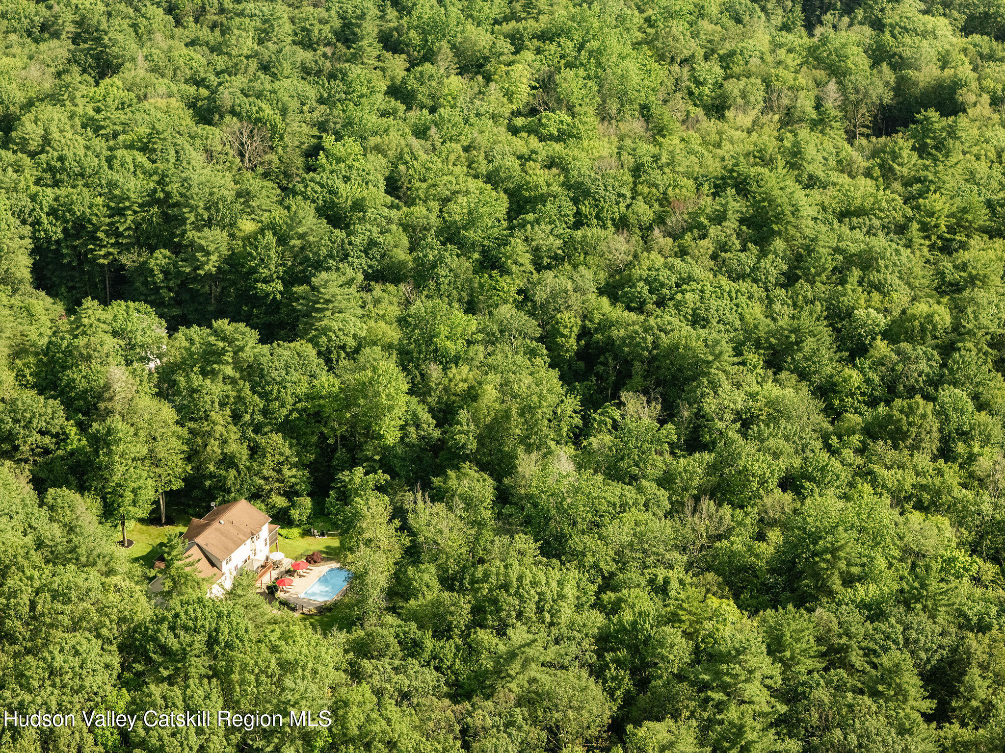 214 Wright Road Kerhonkson, NY 12446 - Photo 3 of 50 a view of a forest with a tree