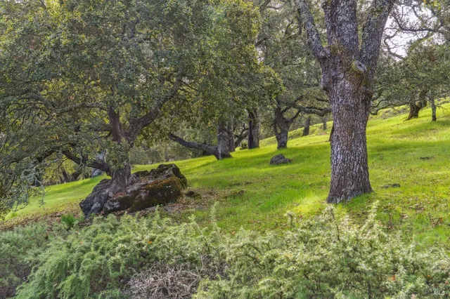 $2,550,000 | 17219 7th Street East, Sonoma, CA 95476