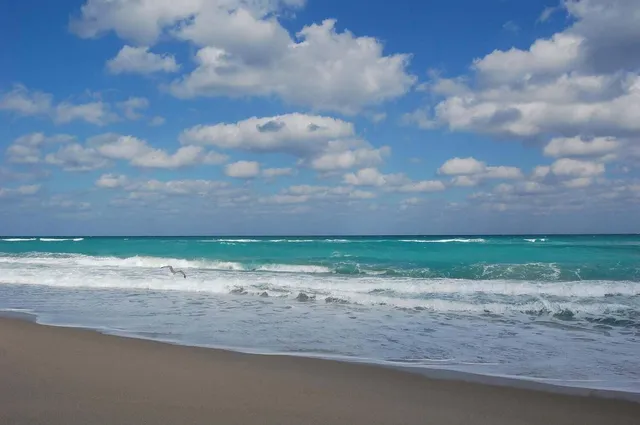 $8,000 | 5540 North Ocean Drive, Unit 8C, Singer Island, FL 33404