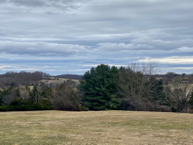 3871 Shutterlee Mill Road Staunton, VA 24401 - Photo 5 of 28 a view of pool with mountain view
