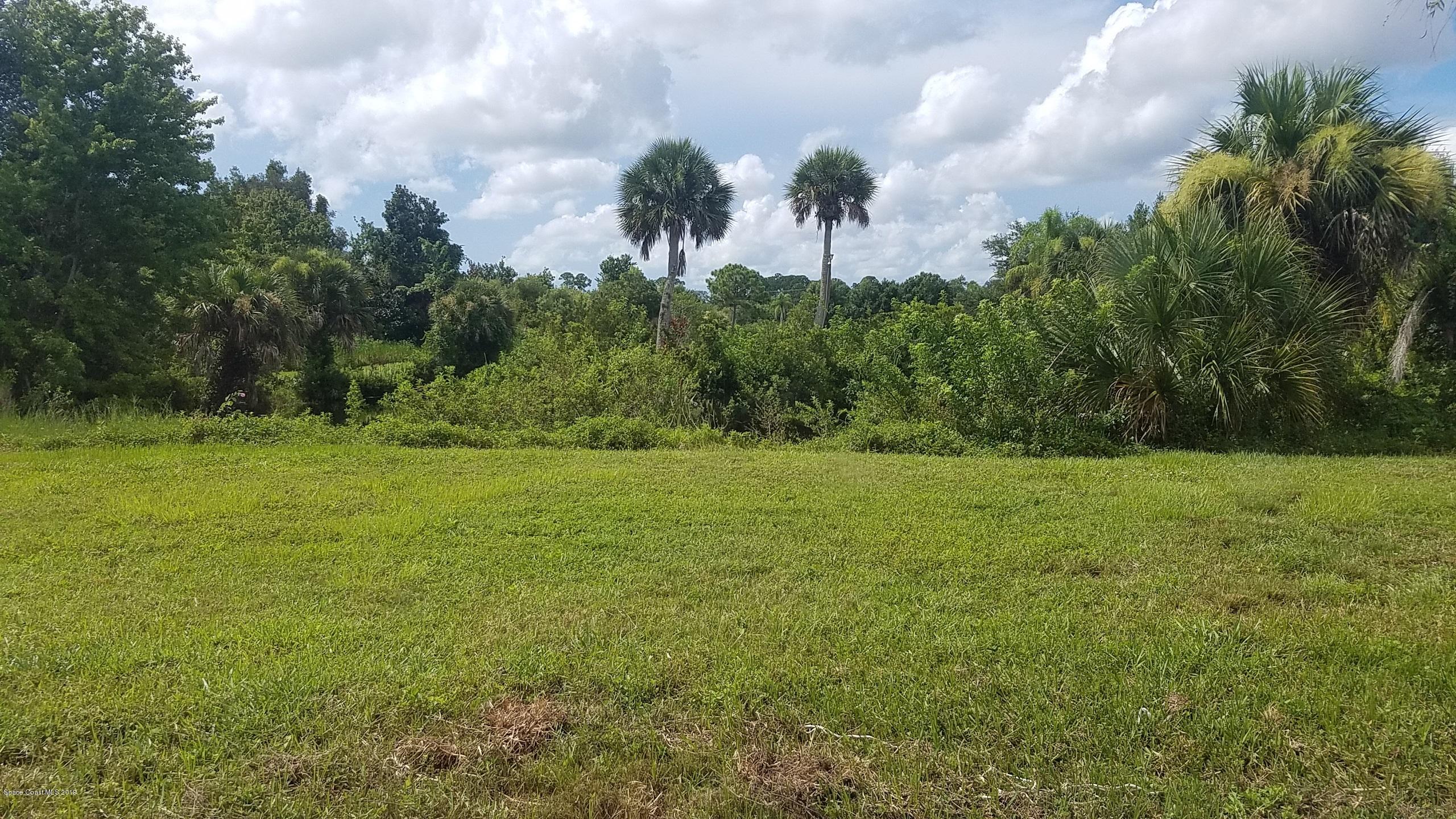 2525 Malabar Road Malabar, FL 32950 - Photo 6 of 18 2525 Malabar Backyard 1