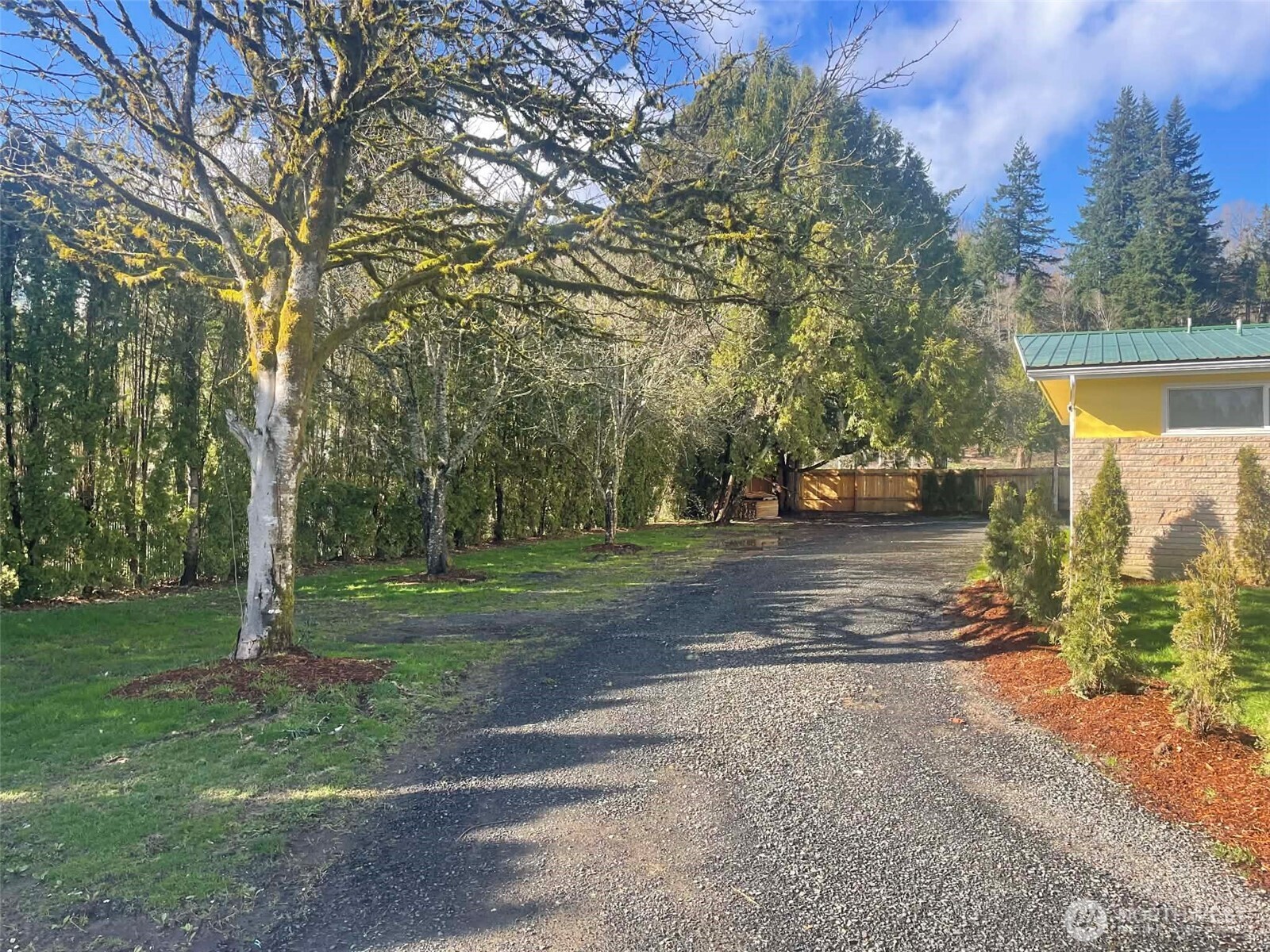 310 West Pine Street Elma, WA 98541 - Photo 2 of 4 a view of a yard with plants and trees