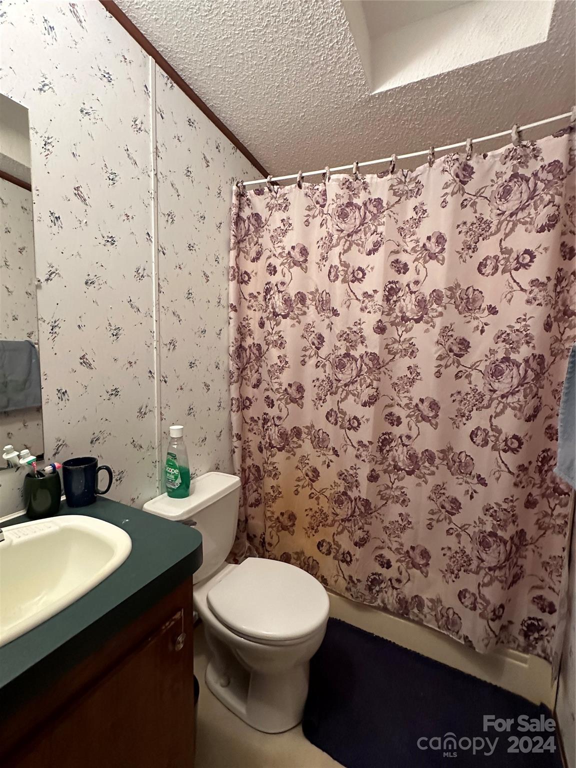 7014 Riverbend Road Claremont, NC 28610 - Photo 17 of 21 a bathroom with a granite countertop toilet and a sink
