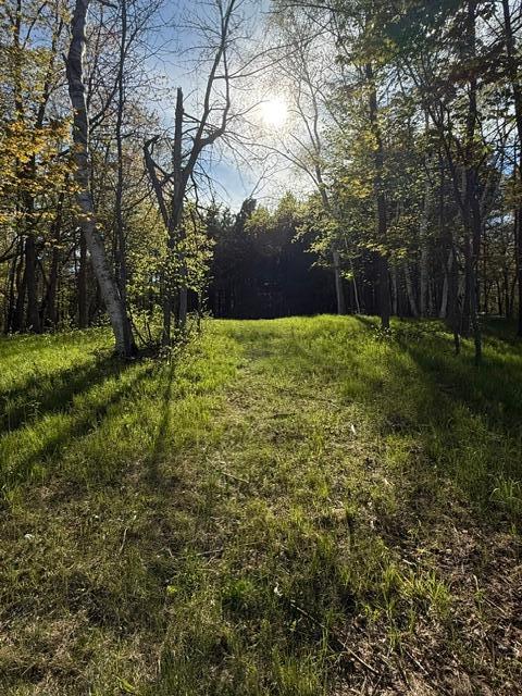 3 County Road 3 Merrifield, MN 56465 - Photo 10 of 36