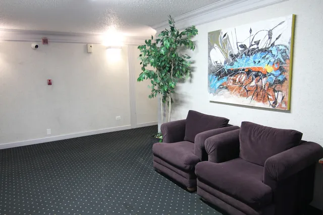 a view of a yard with palm trees