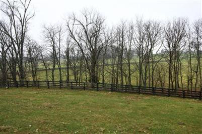1643 Cincinnati Road Georgetown, KY 40324 - Photo 4 of 22 Photo 4