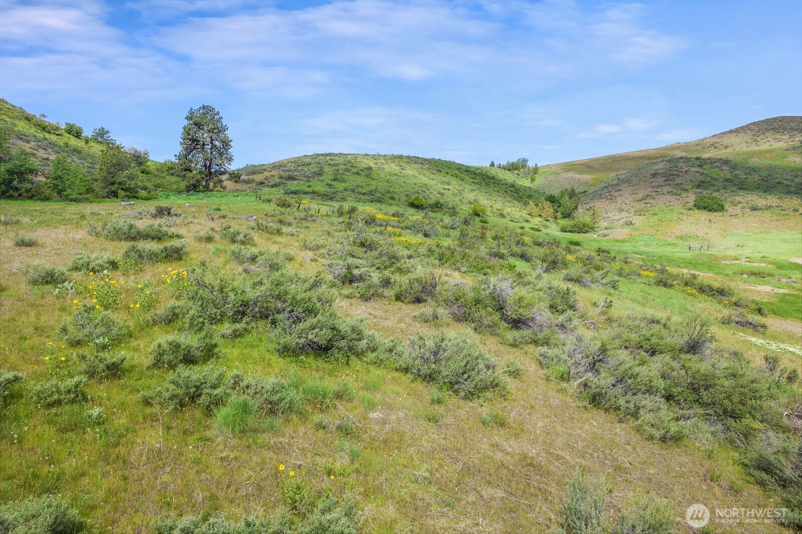 29 Heritage Rose Road Winthrop, WA 98862 - Photo 15 of 33