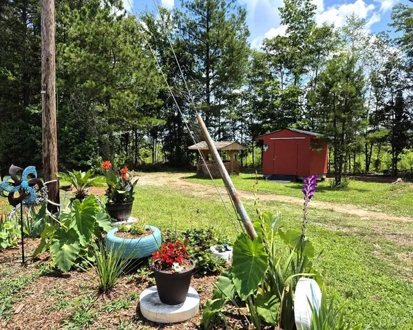 a view of a backyard with plants