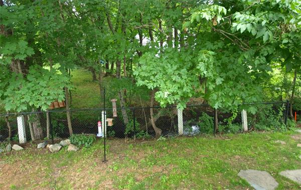 2 Cleveland Road Wellesley, MA 02481 - Photo 24 of 26