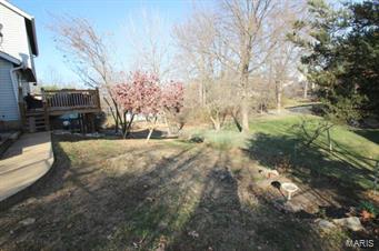 1807 Smizer Mill Road Fenton, MO 63026 - Photo 42 of 52 Gallery Image 42